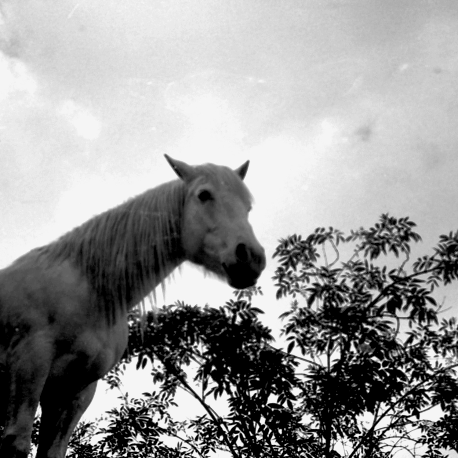 Post-Something cover art